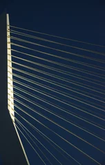 Printed roller blinds Erasmus Bridge Rotterdam Erasmusbrug at night