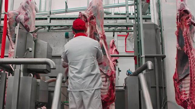Butcher processes skinned beef carcass cut in half, modern slaughterhouse. Industrial meat processing plant factory. Raw carcass hanging on hook.