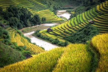 Crédence de cuisine en verre imprimé Mu Cang Chai Beau paysage de rizières en terrasse avec rivière au milieu à Mu Cang Chai dans le nord du Vietnam. Il passe du vert au jaune pour être prêt pour la récolte du riz au début du mois d& 39 octobre.