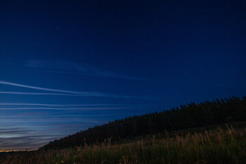 Fototapeta premium summer landscape in rural areas
