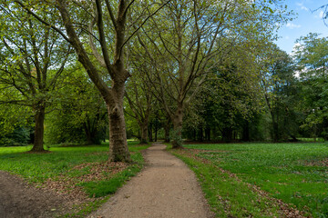 Obraz premium Allee im Park