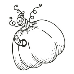 Pumpkin doodle vector illustration. Pumpkin with a cute worm. Outline sketch.
