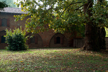 Mirazzano Castle Ancient Walls and an Old Tree