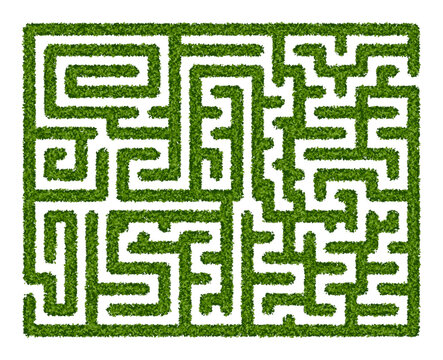 Abstract maze of green hedge on white background. Labyrinth garden. Vector illustration. Education logic game for kids. Brain trainer. Find the way and right solution for exit.
