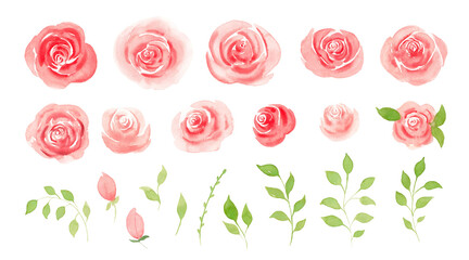 Watercolor set of floral elements. Decoration for poster, greeting card, birthday, wedding design.