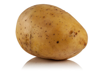 potato on a white background