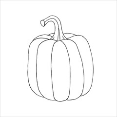 Pumpkin outline EPS  for product design