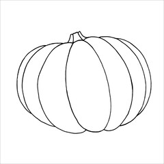 Pumpkin outline EPS  for product design