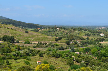 Collioure (Pyrénées Orientales - Occitanie - France) 