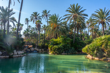 Fototapeta na wymiar The incredible park near the city of Alicante called El Palmeral, Valencian Community