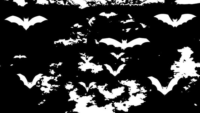 Halloween bat transition. Cartoon bats 2d animation.