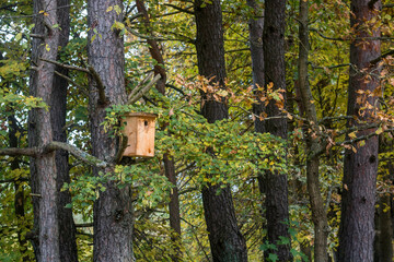 birdhouse on tree