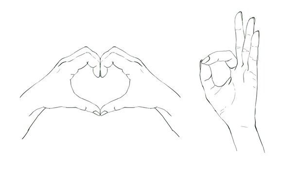 Hands in line art style, gestures. Hand drawing illustration, isolated on white background.