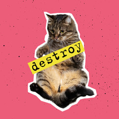 Contemporary art collage, design in magazine style with cat isolated over color background. Animals...