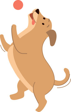 Cute little dog cartoon character on transparent background png