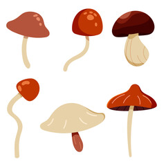 Set of hand-drawn mushrooms