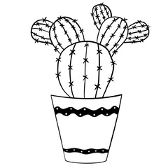 Home plant potted. Line cactus doodle.