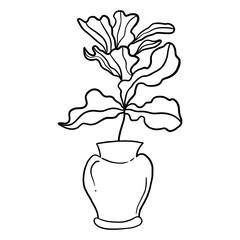 Home plant potted. Line floral doodle.
