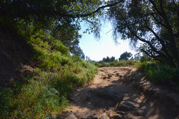 Jesusita Trail, San Roque Canyon, Santa Barbara