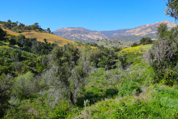 Jesusita Trail, San Roque Canyon, Santa Barbara