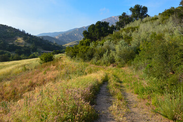 Jesusita Trail, San Roque Canyon, Santa Barbara