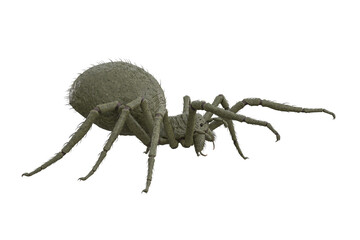 Giant fantasy monster spider in attack pose. 3D rendering viewed from side isolated. - obrazy, fototapety, plakaty