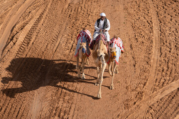 Dubai camel training centre in the Lahbab desert, Dubai