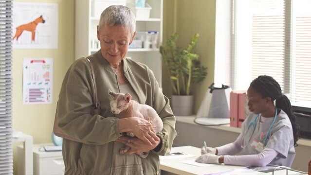 Portrait of smiling mature woman with her beloved elf cat posing for camera standing at modern vet doctor office