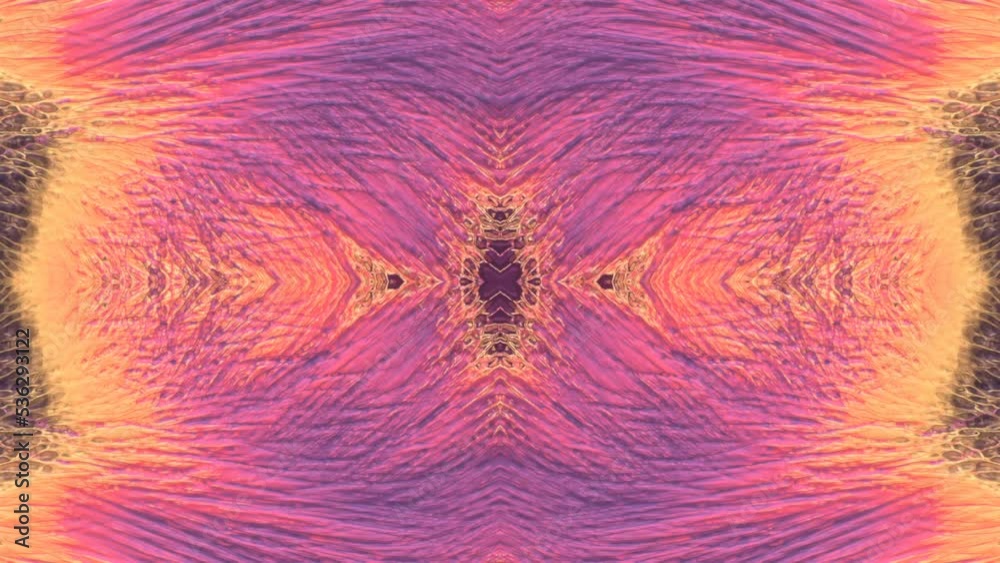 Leinwandbilder symmetrical composition of fantastic multicolored lines. 3d rendering animation