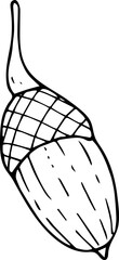 Hand drawn acorn icon. Vector illustration, doodle style.