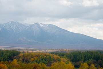 Fototapeta premium 秋の森林と冠雪の山頂 