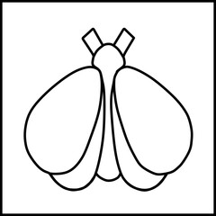 picture of an insect that is a butterfly