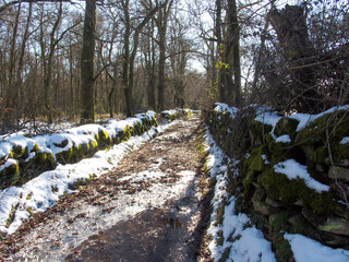 Fototapeta premium Camino de montaña con algo de nieve. Galicia
