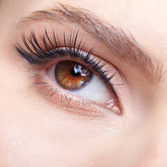 Obraz premium Closeup macro shot of human female eye with light pink eyes shadows