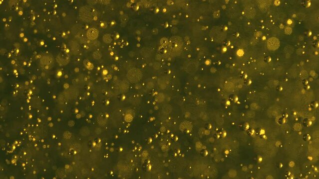 Macro bubbles rising in thick liquid are randomly illuminated by flashing light
