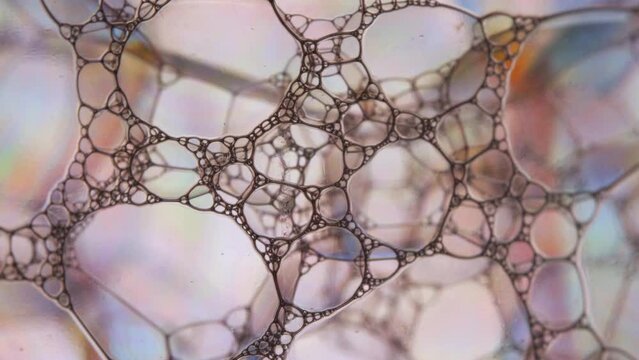 Macro Soapy water surface bubbles reflect light causing rainbow colour effect  