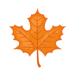 Maple Leaf Sign Emoji Icon Illustration. Autumn Fall Vector Symbol Emoticon Design Clip Art Sign Comic Style.