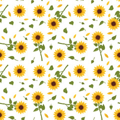 Seamless pattern with yellow sunflowers on white background. Print with element of nature, plant for decoration and design. Vector flat illustration