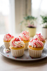 cupcakes with whipped cream