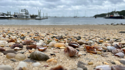 Close up of seashells and pebbles covering the beach at Port Jefferson, NY on Long Island Sound.