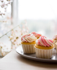 cupcakes with whipped cream