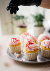cupcakes with cream