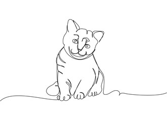 American Shorthair Cat, kitten one line art. Continuous line drawing of pet, mammal, purebred, breed, friendship, kitty, friend, pedigree, character.
