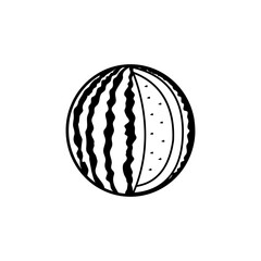 watermelon vector icon