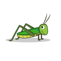 Fototapeta na wymiar art illustration symbol macot animal icon design nature concept insect of grasshopper