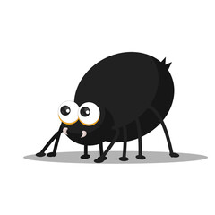 art illustration symbol macot animal icon design nature concept insect of spider