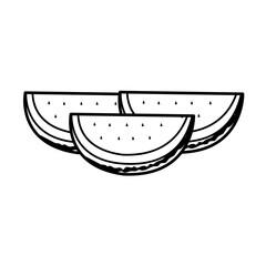 watermelon vector icon