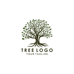 Obraz premium Abstract vibrant tree logo design, root vector - Tree of life logo design inspiration isolated on white background.