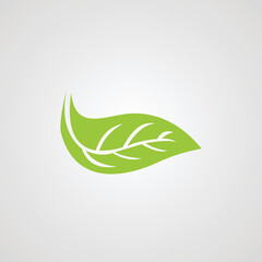 Eco icon green leaf isolated vector illustration.