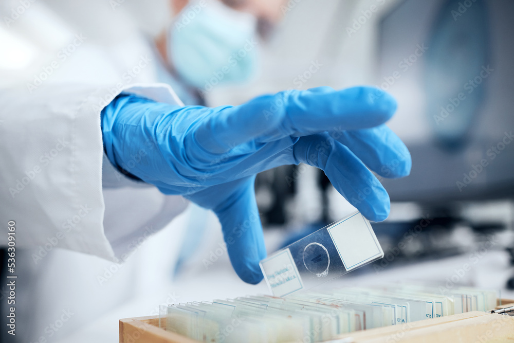 Aufkleber covid, innovation and research by doctor working with microscope slides in laboratory to study and t